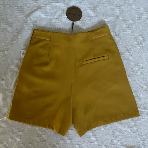 Aaron & Amber High Waisted Shorts - Picture 3 of 4